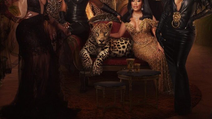 The Real Housewives of Atlanta Season 17 Series Download |